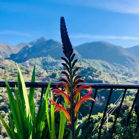 Casa Verde Privat bolig Istán