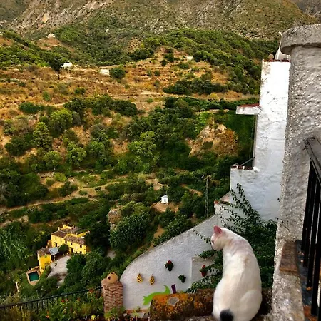 Casa Verde Istán
