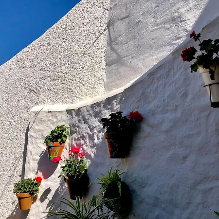Casa Verde *